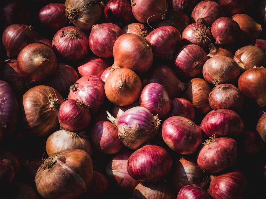 Fresh onions graded for export, representing Ximex Overseas agricultural product exports